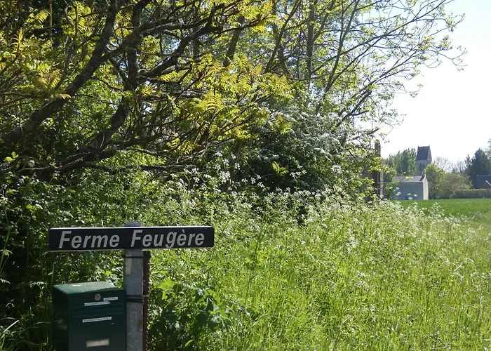De La Ferme Feugere Holiday home